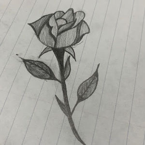 Meet your Posher, Jack in